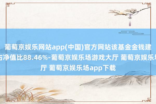 葡萄京娱乐网站app(中国)官方网站该基金金钱建立：股票占净值比88.46%-葡萄京娱乐场游戏大厅 葡萄京娱乐场app下载