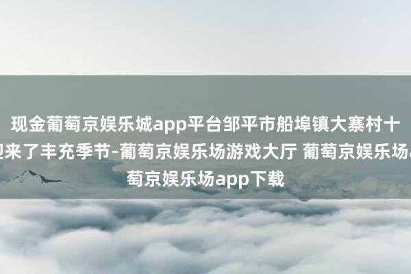 现金葡萄京娱乐城app平台邹平市船埠镇大寨村十里荷塘迎来了丰充季节-葡萄京娱乐场游戏大厅 葡萄京娱乐场app下载