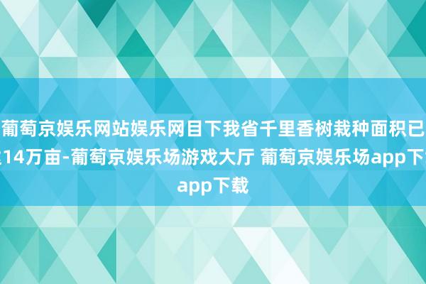 葡萄京娱乐网站娱乐网目下我省千里香树栽种面积已达14万亩-葡萄京娱乐场游戏大厅 葡萄京娱乐场app下载