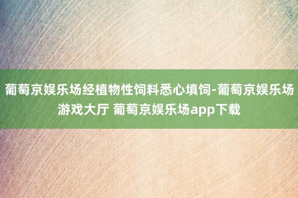 葡萄京娱乐场经植物性饲料悉心填饲-葡萄京娱乐场游戏大厅 葡萄京娱乐场app下载